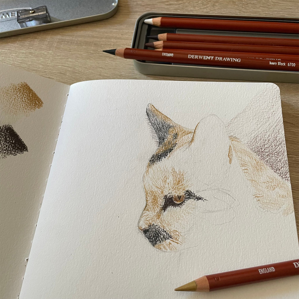 Lápices de Color Drawing de Derwent